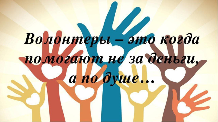 Проанализировали видеосюжет о работе волонтёров.
